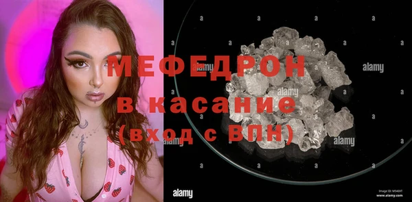 амф Гусев