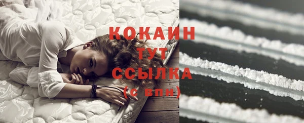 сатива Дмитровск