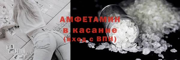 амф Гусев