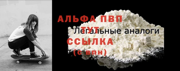 амф Гусев