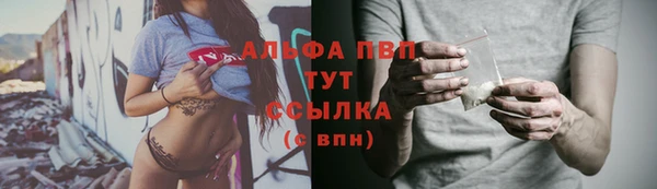 амф Гусев