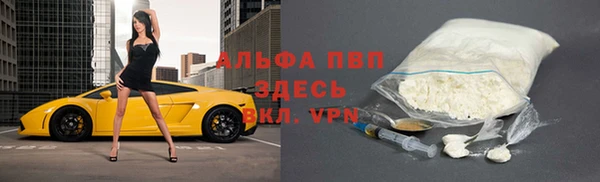 стаф Гусиноозёрск