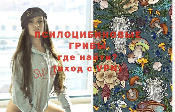 стафф Дмитров