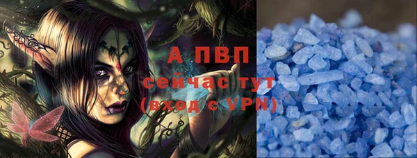 амф Гусев