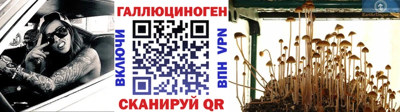 Галлюциногенные грибы Cubensis  Пермь 